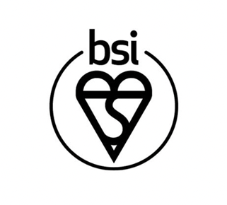 BSI Logo