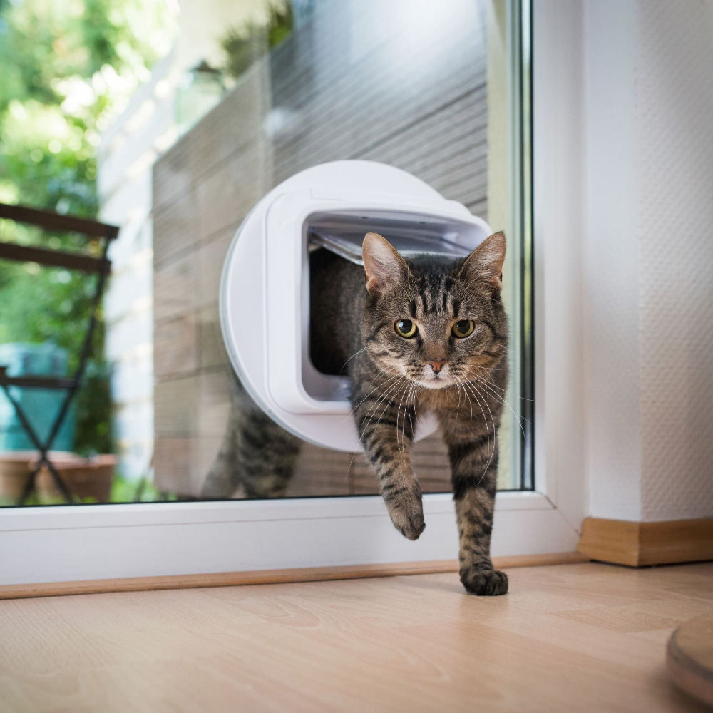 Cat Flap Installation Amersham